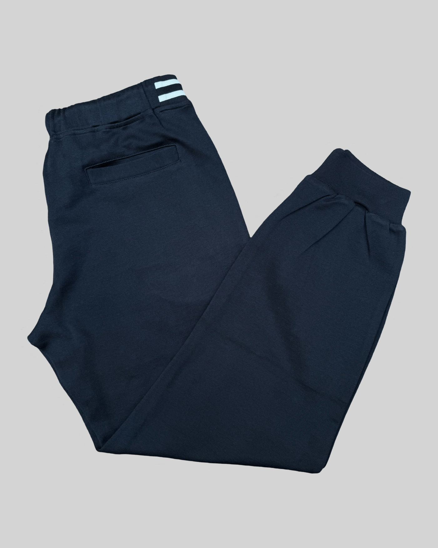 Eleventy jogger pant NAVY